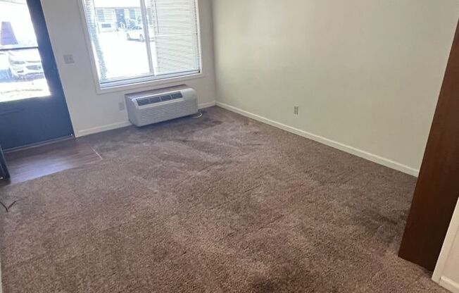 Studio, 1 bath, 288 sqft, $550, Unit 12B