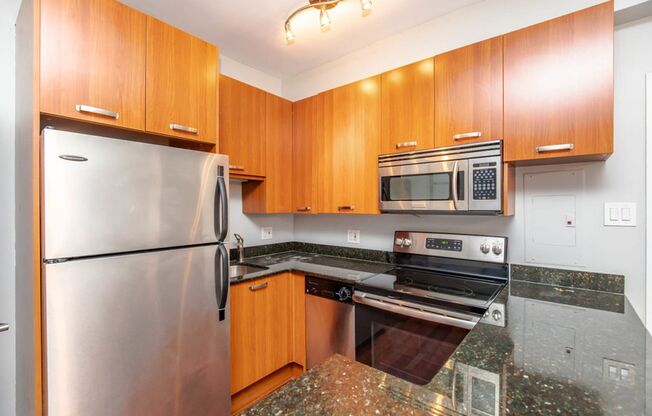 1 bed, 1 bath, $1,650, Unit 205