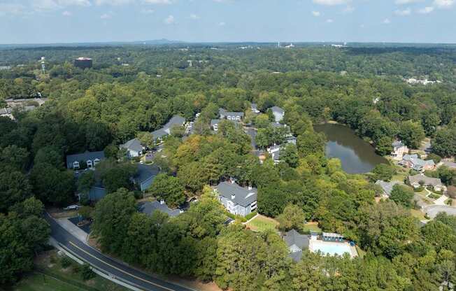 A bird's eye view of a residential area surrounded by trees.