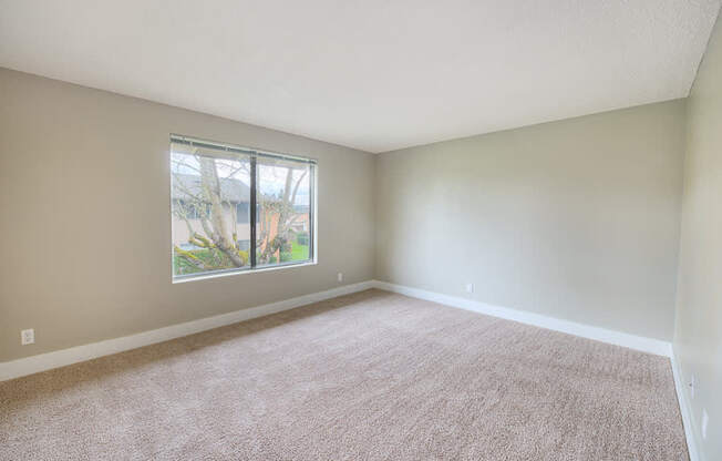 A room with a carpeted floor and a window showing an outdoor view.