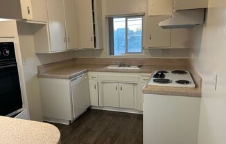 1 bed, 1 bath, 700 sqft, $1,800, Unit 2450-03