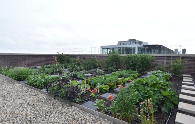 1 bed, 1 bath, 642 sqft, $3,160, Unit 3833-417