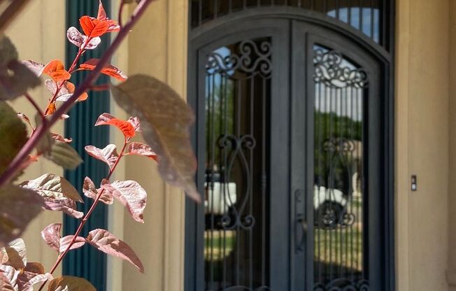 HOME FOR RENT IN CLINT