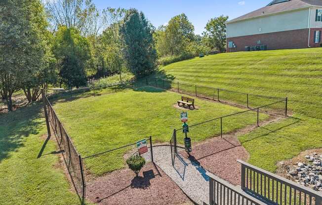Aerial View of Dog Park