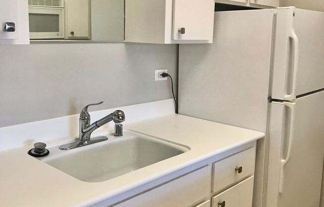 1 bed, 1 bath, 595 sqft, $2,895, Unit 203