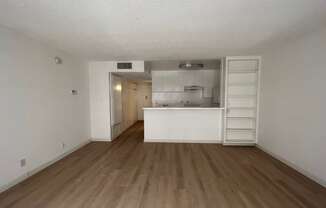 Living Area with Hard Floors and Built-In Shelves