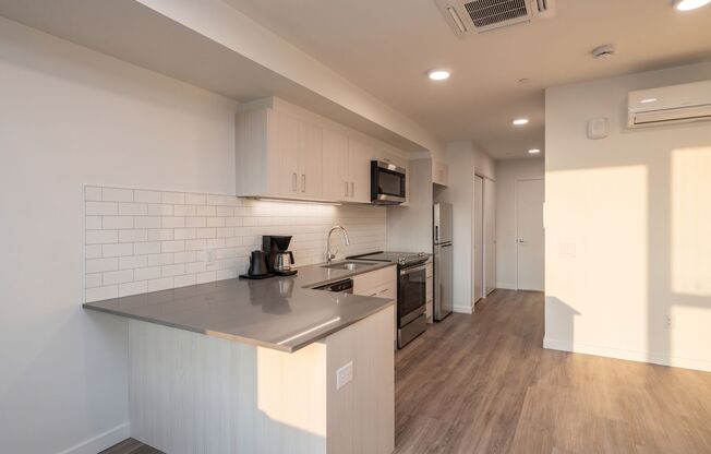 Studio, 1 bath, 431 sqft, $1,513, Unit 410 MFTE