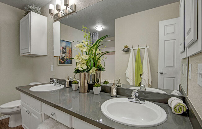 Primary Bathroom with Double Vanity | Apartments For Rent In Scottsdale AZ | The Catherine Townhomes