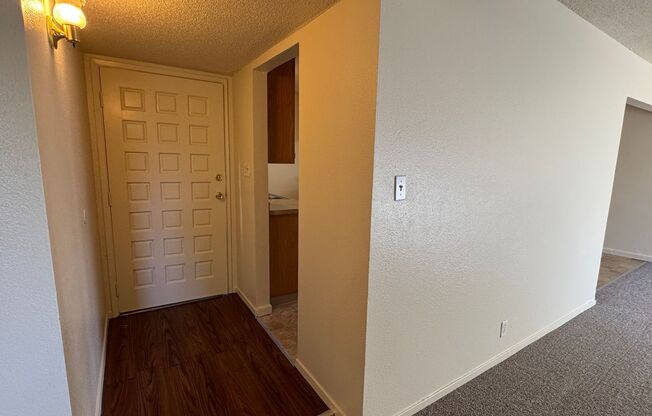 Three Bed, Two Bath Home with New Carpet and Paint