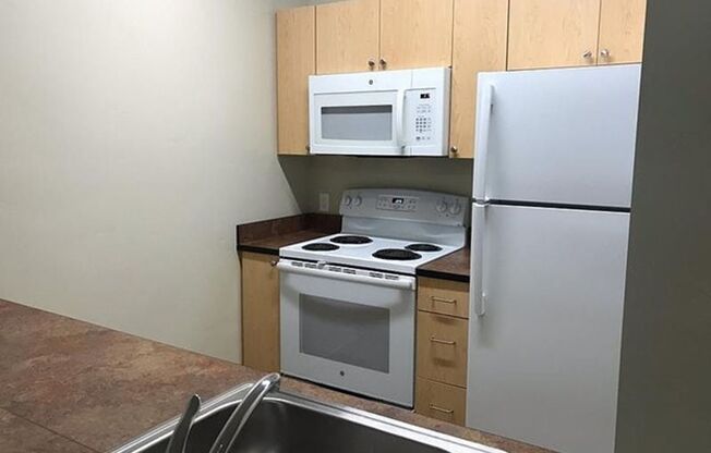 1 bed, 1 bath, 555 sqft, $995, Unit 4252-207