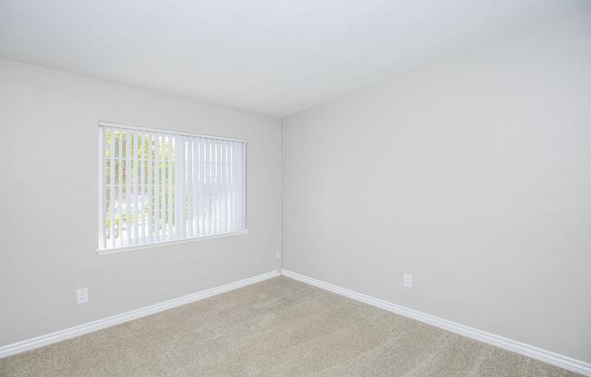 A vacant room with light gray walls and freshly carpeted flooring. There is a window with vertical blinds letting in natural light. The space appears clean and empty, suitable for various uses.
