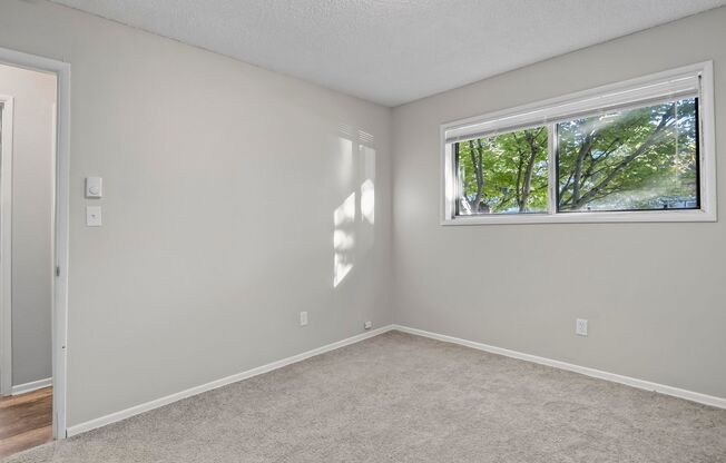 2 beds, 1 bath, 685 sqft, $1,195, Unit 8023