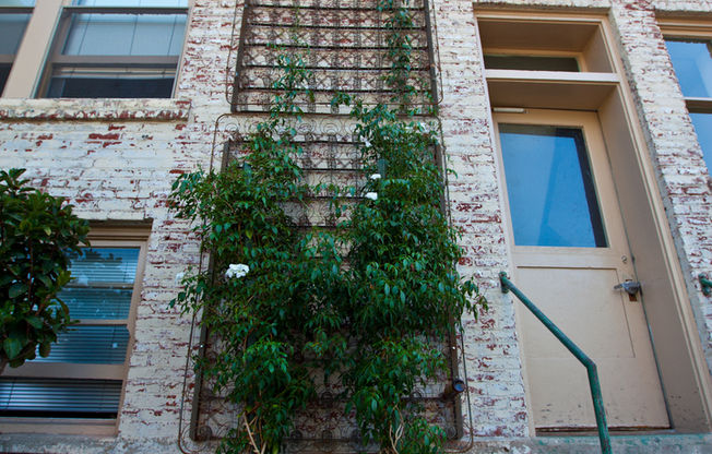 Studio, 1 bath, 264 sqft, $1,495, Unit 414