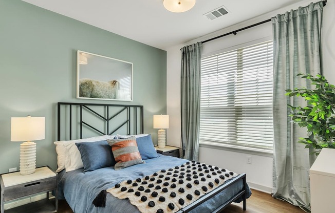 Discover Apex: Comfort & Convenience