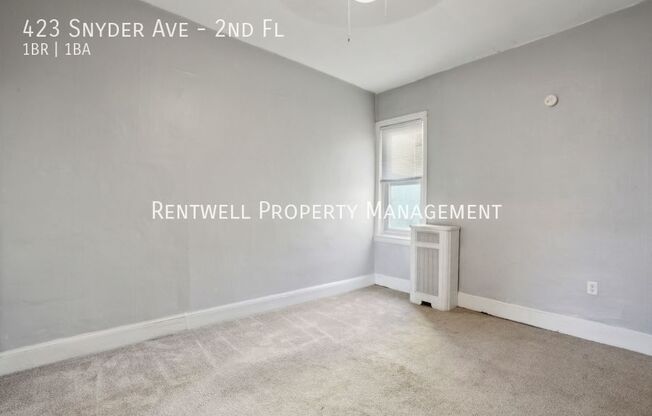 423 SNYDER AVE
