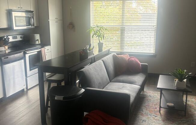 Studio, 1 bath, $1,300, Unit 205