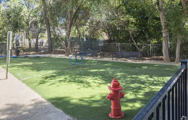 Dog Park with a red fire hydrant sitting on top of a lush green field