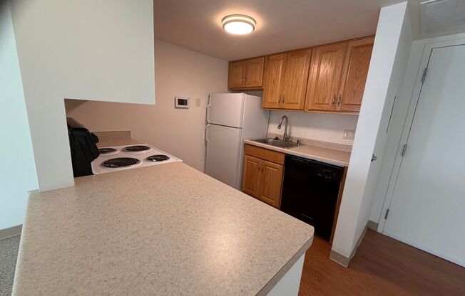 1 bed, 1 bath, 750 sqft, $1,095, Unit 203E