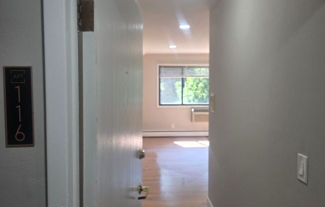 1 bed, 1 bath, $1,250, Unit 316
