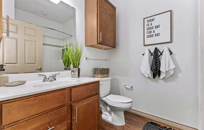 the preserve at ballantyne commons apartment bathroom with sink toilet and mirror