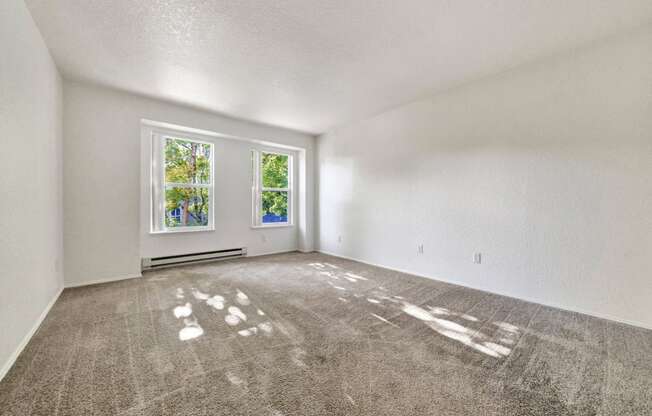 an empty living room with carpet and a window