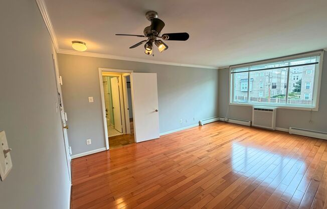 Light-Filled 1BR, 1BA in the Heart of Brookland