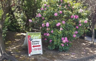 Experience the Beauty of Ashley Court Apartments