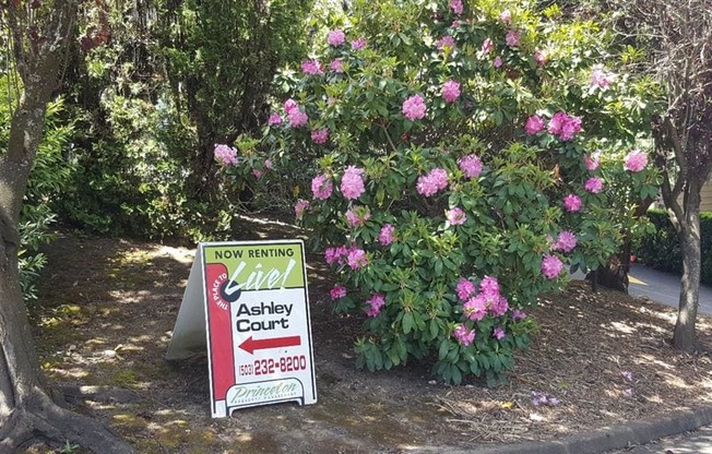 Experience the Beauty of Ashley Court Apartments