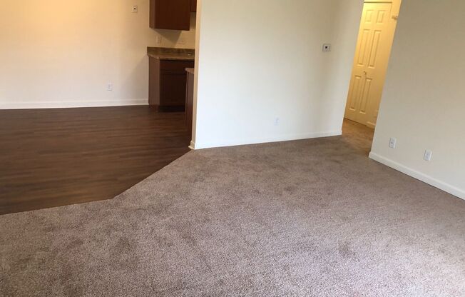 1 bed, 1 bath, 662 sqft, $985, Unit 1116