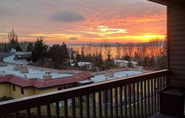 2 beds, 2 baths, $2,600, Unit Apt 303
