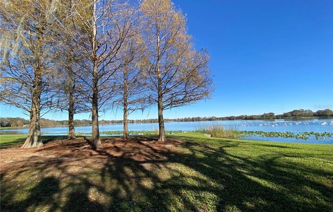 Discover Your Lakefront Sanctuary – Spacious 3-Bed Townhouse in Orlando
