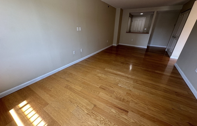 1 bed, 1 bath, 655 sqft, $3,200, Unit 215