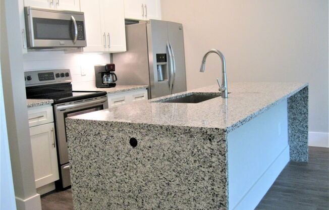 1 BR 1 BA Apartment