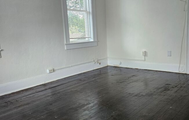 1 Bed/1 Bath Apartment across from Hillsborough H.S.