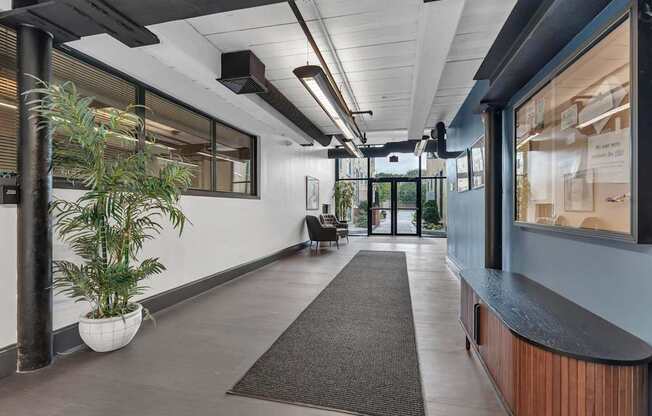 A long hallway with a plant on the left and a bench on the right.