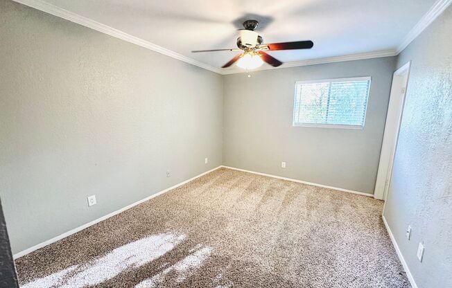 Studio, 1 bath, 500 sqft, $795, Unit 219