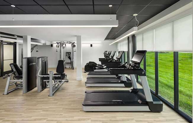 A gym with treadmills, weights, and exercise equipment.