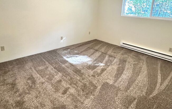 2 beds, 1 bath, 920 sqft, $1,500, Unit 7619-04