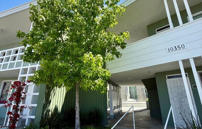 Studio, 1 bath, 225 sqft, $1,895, Unit 0132-50