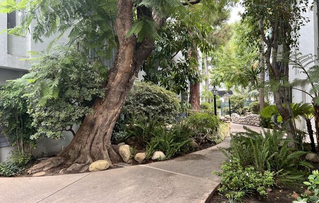 1 bed, 1 bath, 605 sqft, $2,000, Unit 110