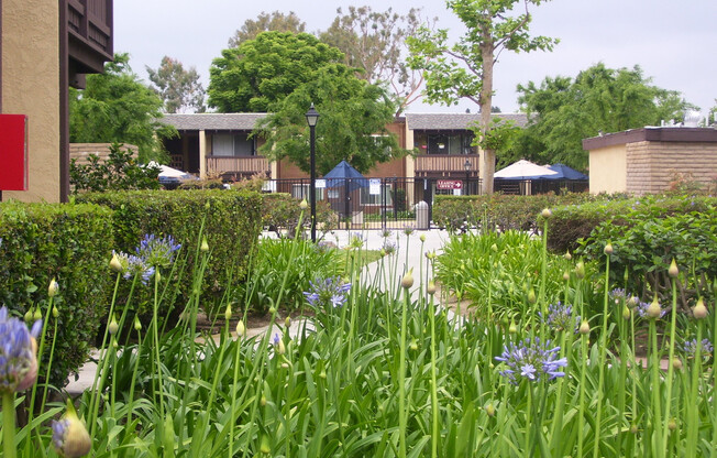 2 beds, 1 bath, 910 sqft, $2,525, Unit Q004