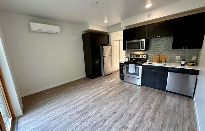 Studio, 1 bath, 412 sqft, $1,695, Unit Unit 301