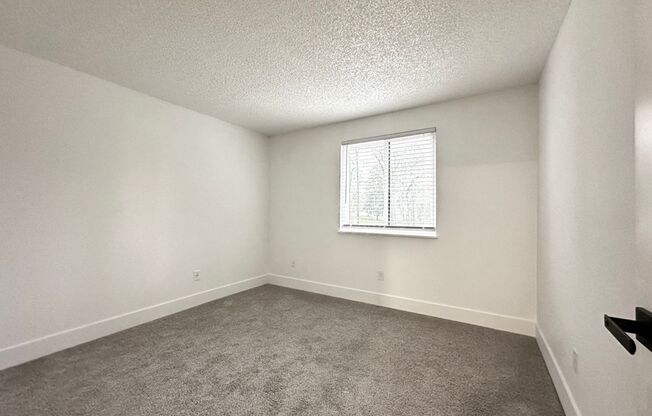 2 beds, 1 bath, 803 sqft, $1,550, Unit 92