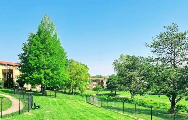 1 bed, 1 bath, 750 sqft, $619