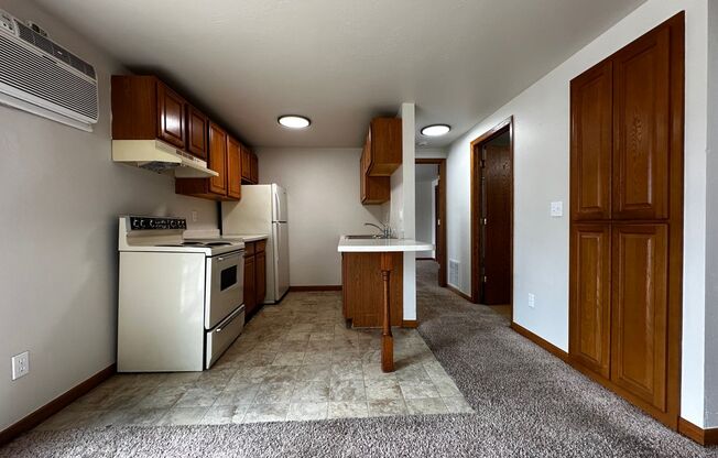 1 bed, 1 bath, $845, Unit Apt. 9