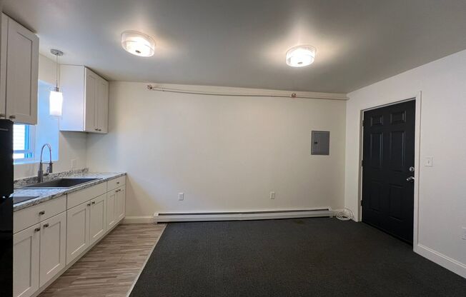 1 bed, 1 bath, 319 sqft, $1,495, Unit Unit 4