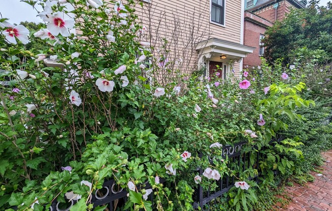 30 Mt Auburn St