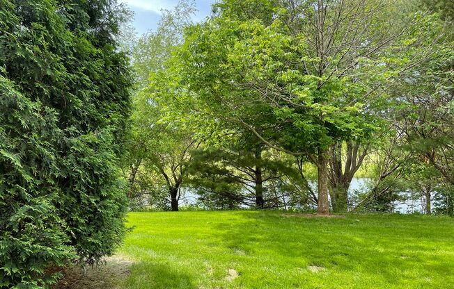 1 bed, 1 bath, 805 sqft, $1,435, Unit 925-304