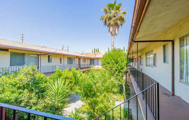 a view of the courtyard of a building with a palm tree