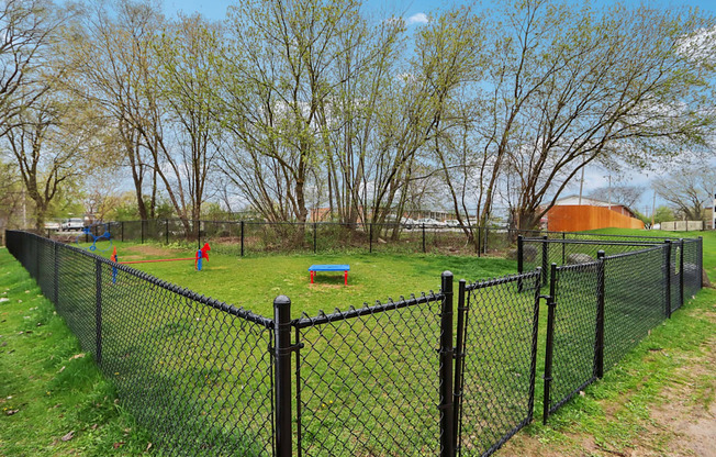 a fenced in dog park with a dog